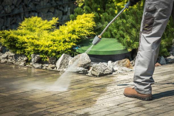 Best Fence Cleaning  in Las Vegas, NM
