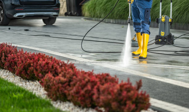 Best Dumpster Area Cleaning  in Las Vegas, NM